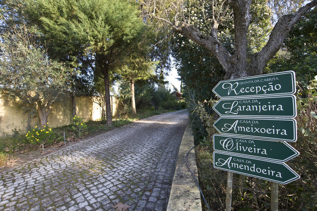 Quinta Da Cabrita Villa Santarem Ngoại thất bức ảnh