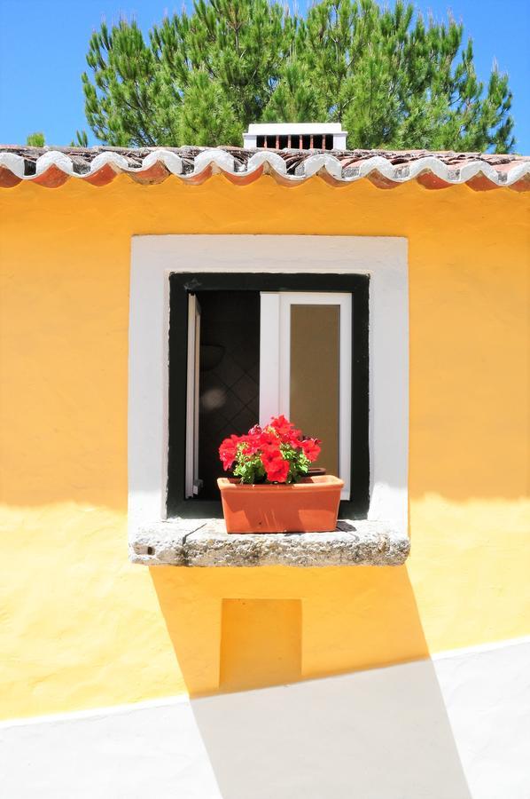 Quinta Da Cabrita Villa Santarem Ngoại thất bức ảnh